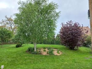 Maisons de vacances 3 bedroom house with garden : photos des chambres