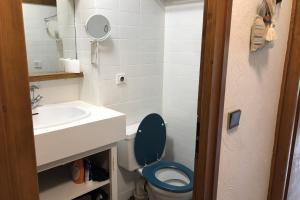 Appartements Family studio near the slopes of Praz-sur-Arly : Studio