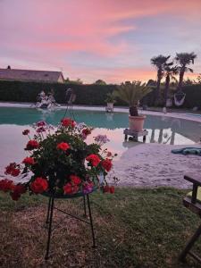 Sejours chez l'habitant Domaine du lagon bleu : photos des chambres