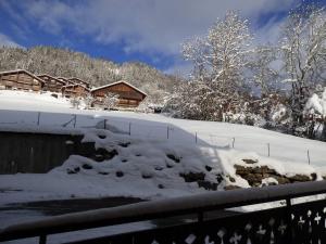 Lumineux 3 pièces - 46m² pour 6 personnes, proche télécabines - FR-1-458-233