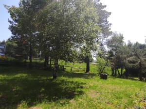 Chalets Chalet montagnard confortable a Super Besse avec grand terrain et parking prive - FR-1-814-139 : photos des chambres