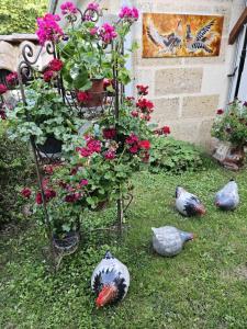 Sejours chez l'habitant Domaine du lagon bleu : photos des chambres