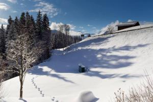 Cozy Apt Overlooking the Gstaad Mountain Area