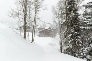 Cozy Apt Overlooking the Gstaad Mountain Area