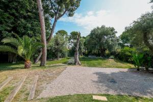 Central Luxurious Property