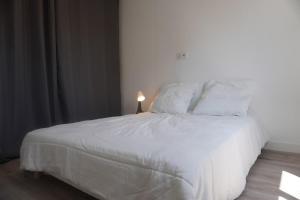 Appartements Le Dauphin du port : photos des chambres