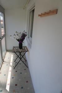 Appartements Le Dauphin du port : photos des chambres