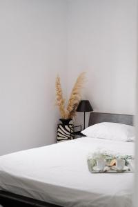 Aerope Inviting Apartment