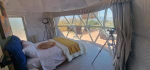 Dome Bally Kampia