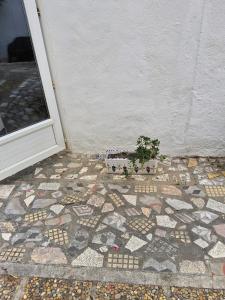 Appartements L-espadon du port, air conditioning, terrace, sea, 5 people : photos des chambres