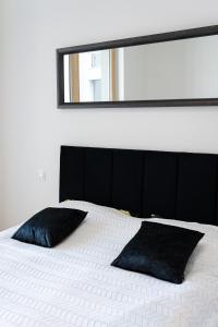 Modern Elegance Suite