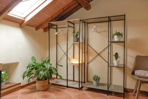 Pets at Home Villa Lucca