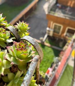 Milano Navigli Maria Flat