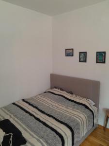 Studio Apartment Telep