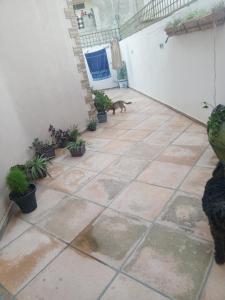 maison entre foret et mer