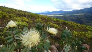 Akasha Mountain Retreat, new location