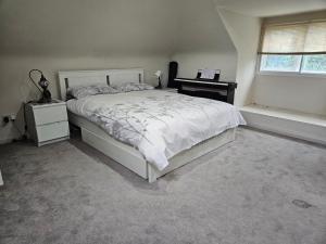 Stunning 4 bed house with huge garden and parking