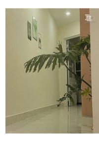 Bé Homestay