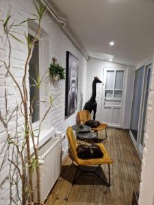Appartements Chez Lilas 150m Plage : photos des chambres