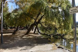 Puigcerdà Carloss House, como en tu casa