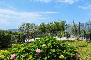 Paradise Garden Apartment