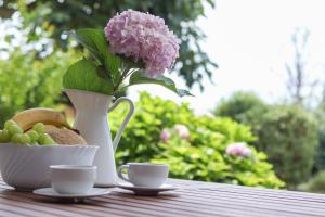 Paradise Garden Apartment