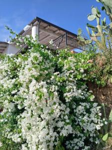 La casa blu superior