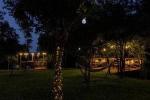 Forrest Houses Bartosze