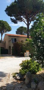 Appartements ARGELES sur MER APPT ETAGE CALELLA TOUT CONFORT JARDIN PISCINE PARKING WIFI : photos des chambres