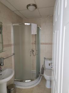 Deluxe Triple Room room in Vila Devedzic