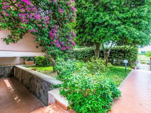 Apartment Piccolo Leccio by Interhome