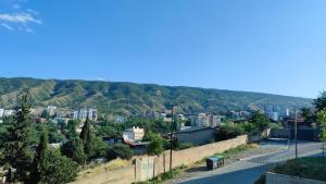Tbilisi Apartment
