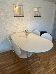 Newly renovated recreation room in Lomma