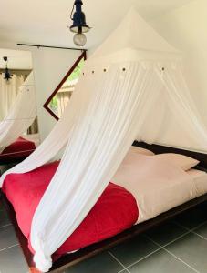 Sejours chez l'habitant La Balinaise : photos des chambres