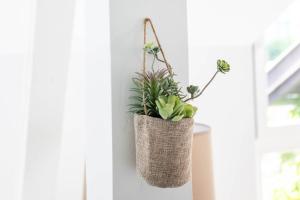 Appartements LES MARAICHERS : photos des chambres