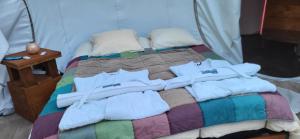 Les Bulles Du Coq De Champagne