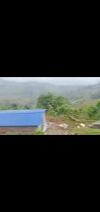 Honey pool Home