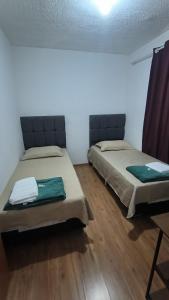 Apartamento Plantar e Cuidar