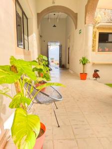 Habitación compartida para mujeres