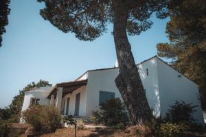 Villas Villa les trois pins : photos des chambres