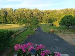 Maisons de vacances Gite Au Nom Des Dames : photos des chambres