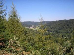 Maisons de vacances Chez Milo - FR-1-583-416 : photos des chambres