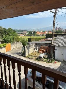 La pulga en el océano