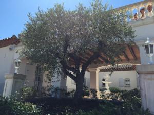 Villas Villa 342 m2 classee 4 etoiles sur 1 ha - Provence : photos des chambres