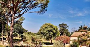 B&B / Chambres d'hotes Domaine Au Coeur des Alpilles : photos des chambres