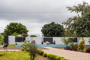 White Rhino apartments & tours