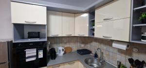 Luxury apartment in the city center