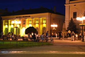 Luxury apartment in the city center