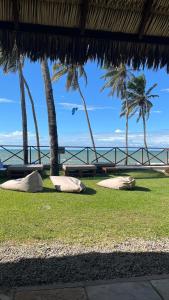 Eco Paradise 110 - Cumbuco