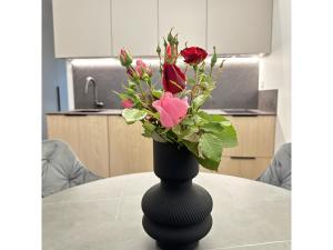 D J Apartamentai Palangoje